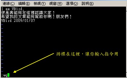 儲存並離開 vi 環境