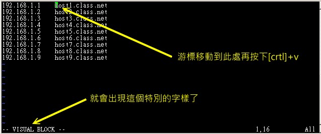 vim 的區塊選擇、複製、貼上等操作功能