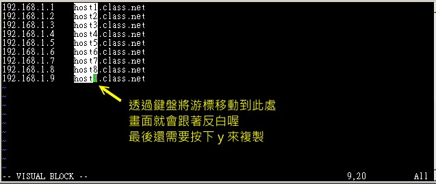 vim 的區塊選擇、複製、貼上等操作功能