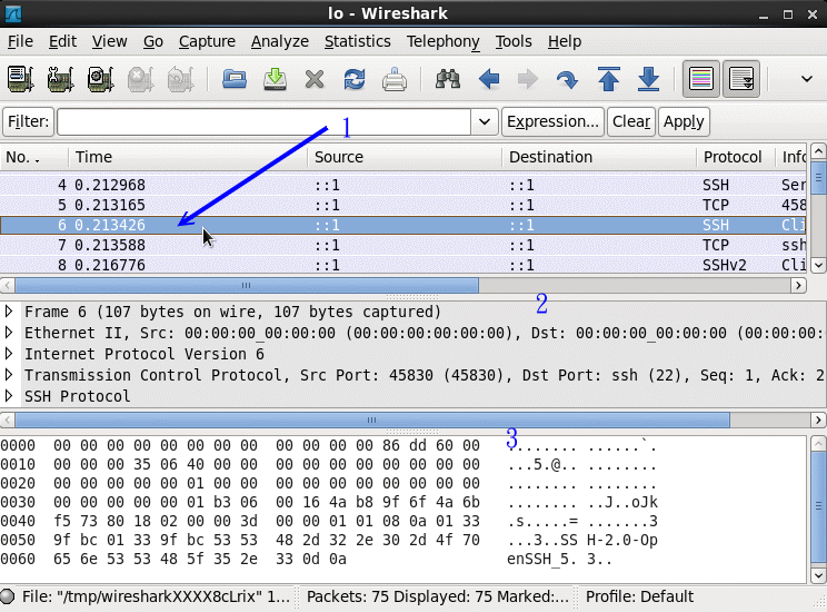 wireshark 的使用示意圖