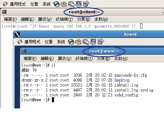 在用戶端的 X 順利連上 Xdmcp 的畫面