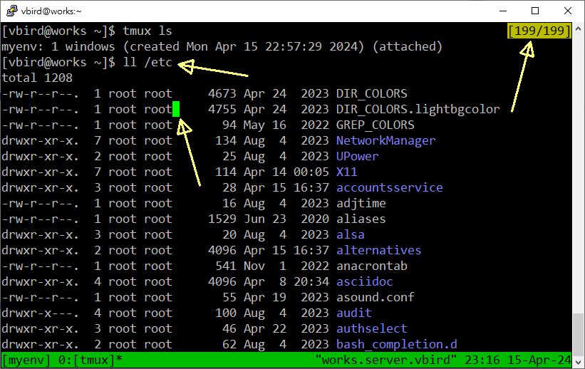 圖 10.3.4-2、tmux 在 session 內使用 buffer 功能