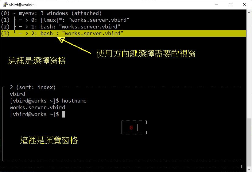 圖 10.3.4-6、tmux 選擇 window 預覽效果示意